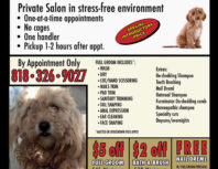 Naw's Paws Dog Grooming, Granada Hills, coupons, direct mail, discounts, marketing, Southern California