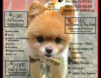 A Doggies Tail, Simi Valley,, coupons, direct mail, discounts, marketing, Southern California