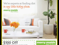 Merry Maids, Porter Ranch, coupons, direct mail, discounts, marketing, Southern California