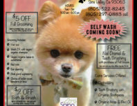 A Doggies Tail, Simi Valley, coupons, direct mail, discounts, marketing, Southern California