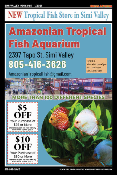 Amazonian Trpical Fish Aquarium, Simi Valley, coupons, direct mail, discounts, marketing, Southern California