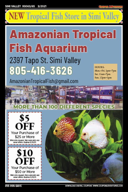 Amazonian Tropical Fish Aquarium, Simi Valley, coupons, direct mail, discounts, marketing, Southern California